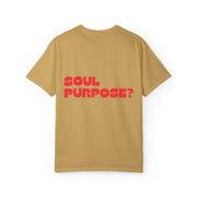 What is your soul purpose?